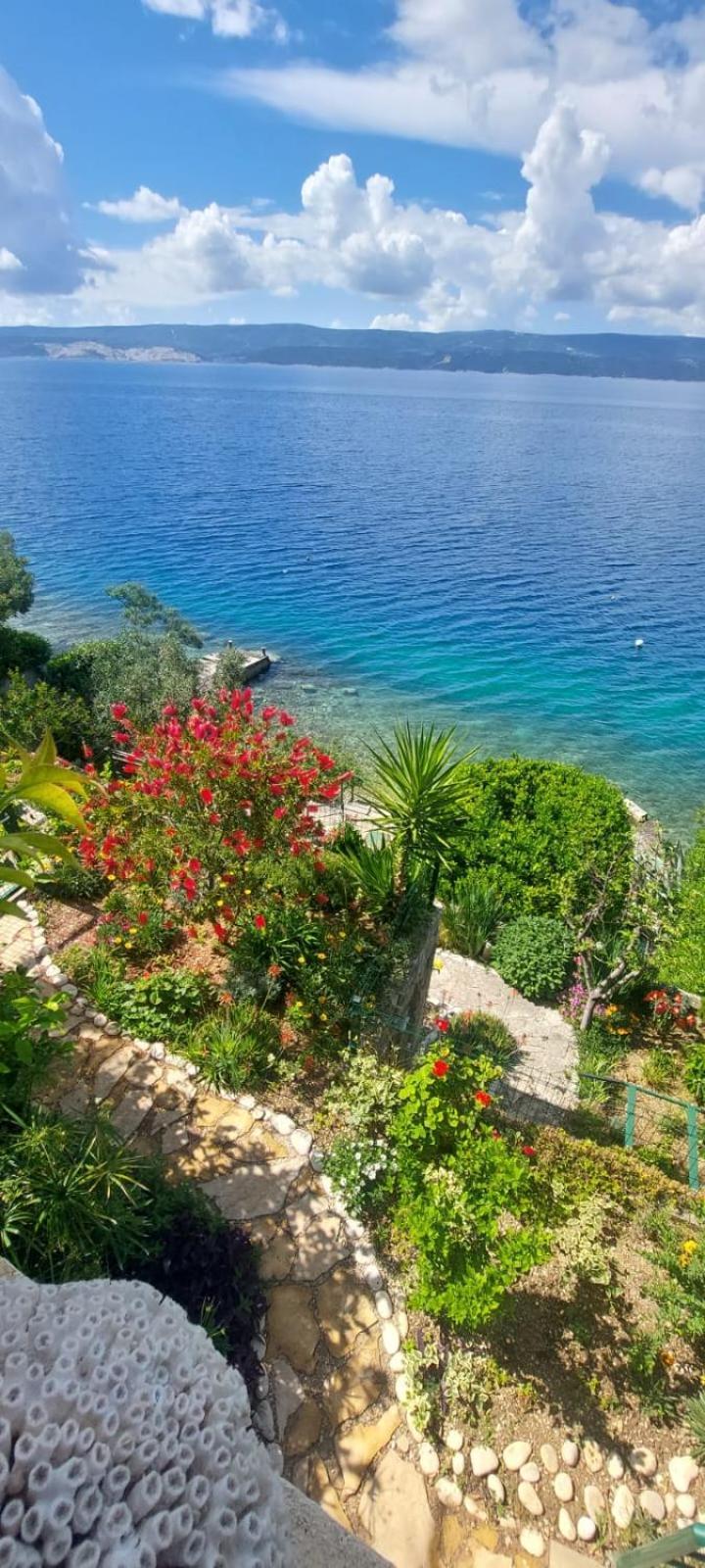 Apartment Toncica Omiš Exteriér fotografie