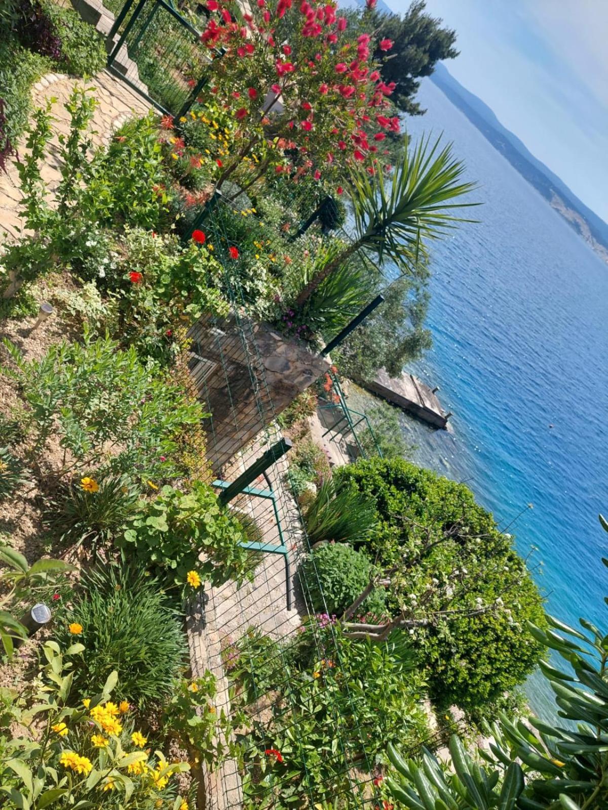 Apartment Toncica Omiš Exteriér fotografie