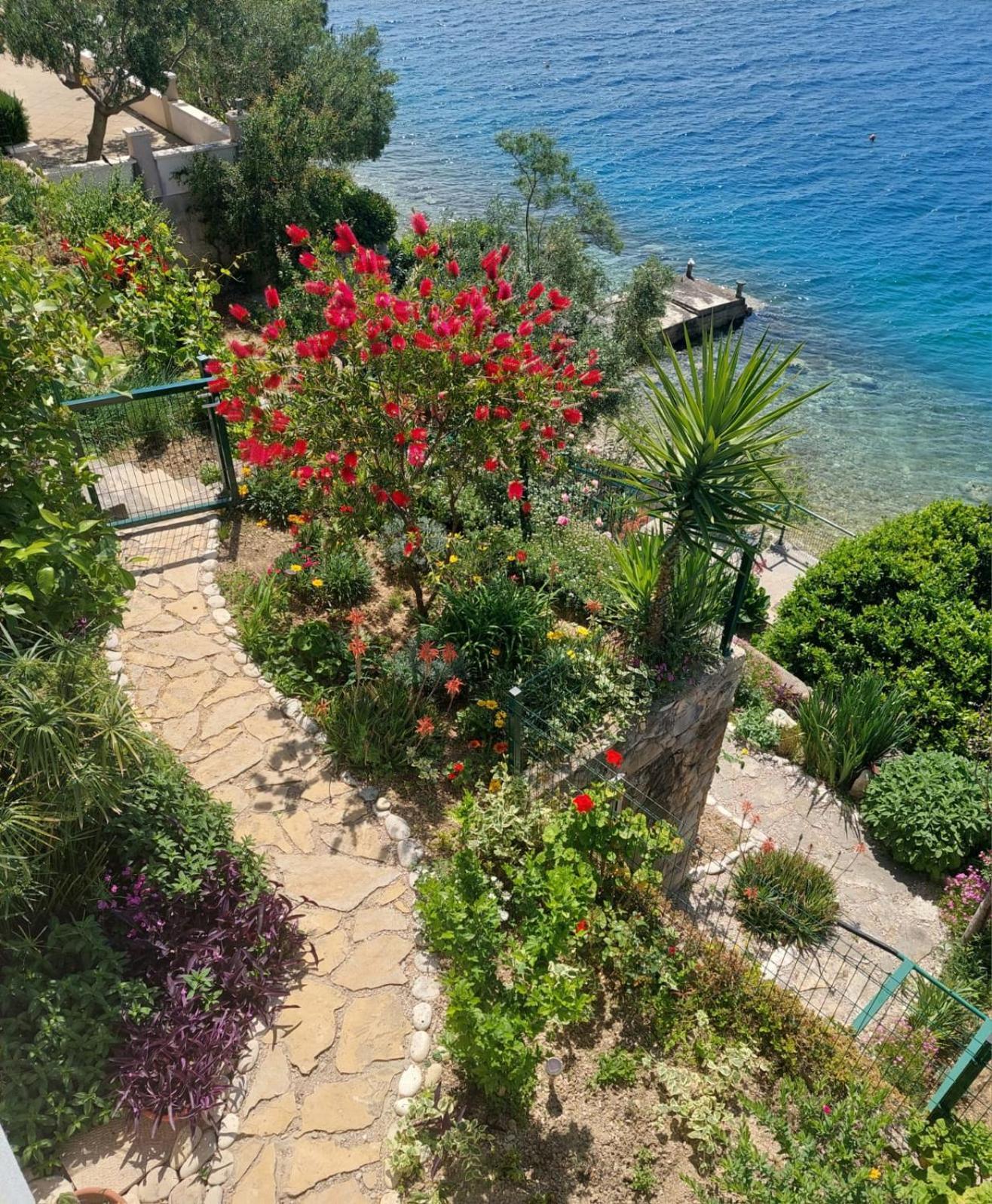 Apartment Toncica Omiš Exteriér fotografie